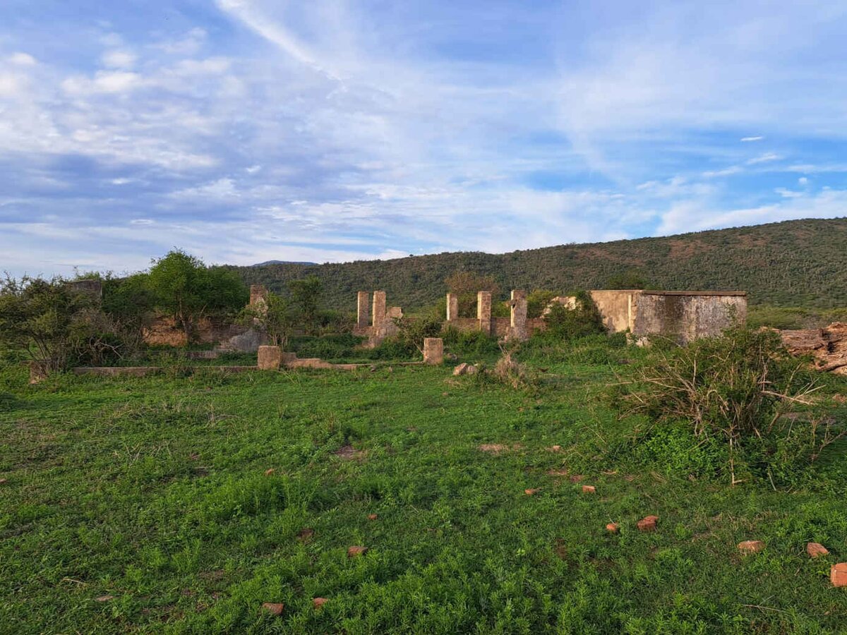 2. Overview / Oorsig