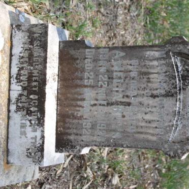 BUYS Amelia 1926-1929