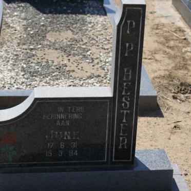 BESTER P.P. 1931-1994