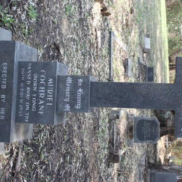 COCHRANE Muriel nee LONG  -1953