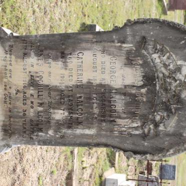 MALCOLM George -1892 &amp; Catherine -1914 :: MALCOLM James Cochill -1916