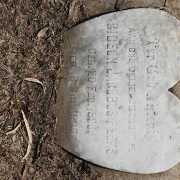 PEENS Gideon Jacobus 1928-1928