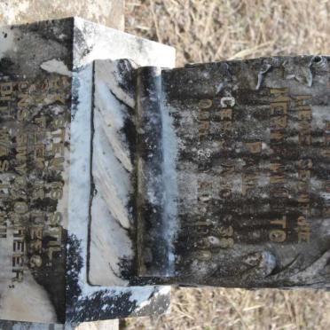 PAUL Hermann Otto 1938-1940