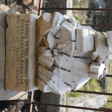 ROBINSON Sheba Rosanna -1890