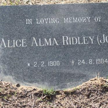 RIDLEY Alice Alma nee JONES 1900-1984