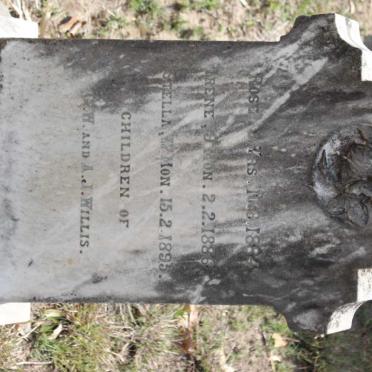 WILLIS Rose -1884 :: WILLIS Irene -1886 :: WILLIS Stella -1895