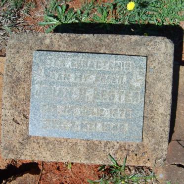 BESTER Johan M. 1879-1949