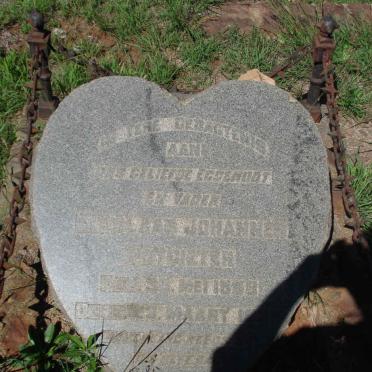 P - Vanne :: Surnames - P