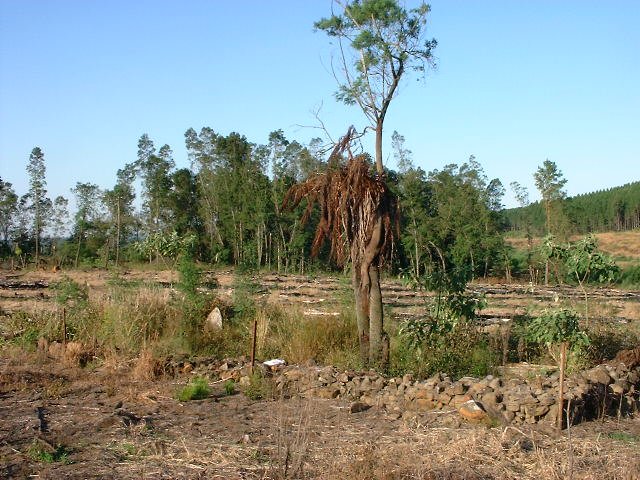 1. Overview / Oorsig