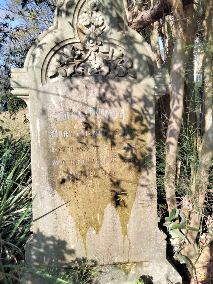 SHAW Mary Milner -1896