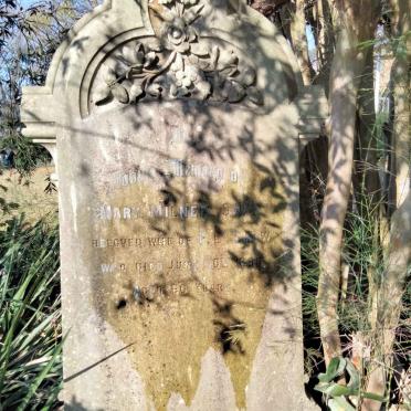 SHAW Mary Milner -1896