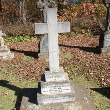 HUTCHINSON Graham 1860-1928