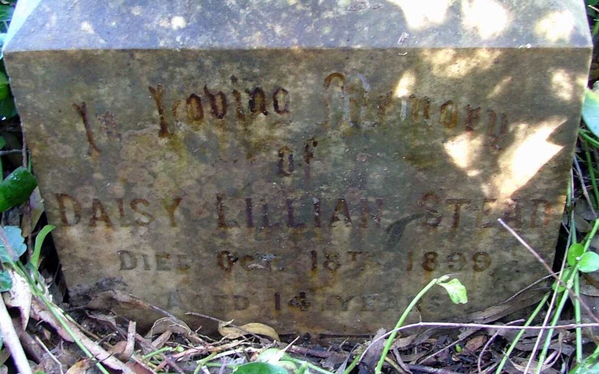 STEAD Daisy Lillian -1899
