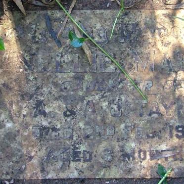 TAYNTON Nellie Mabel -1900