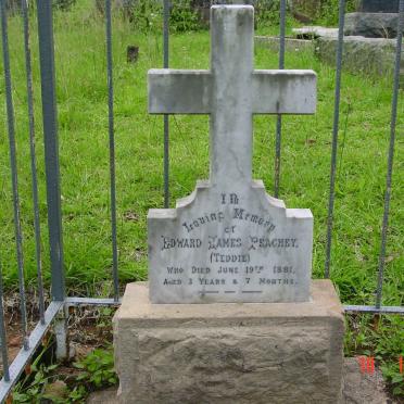 PEACHEY Edward James  -1881