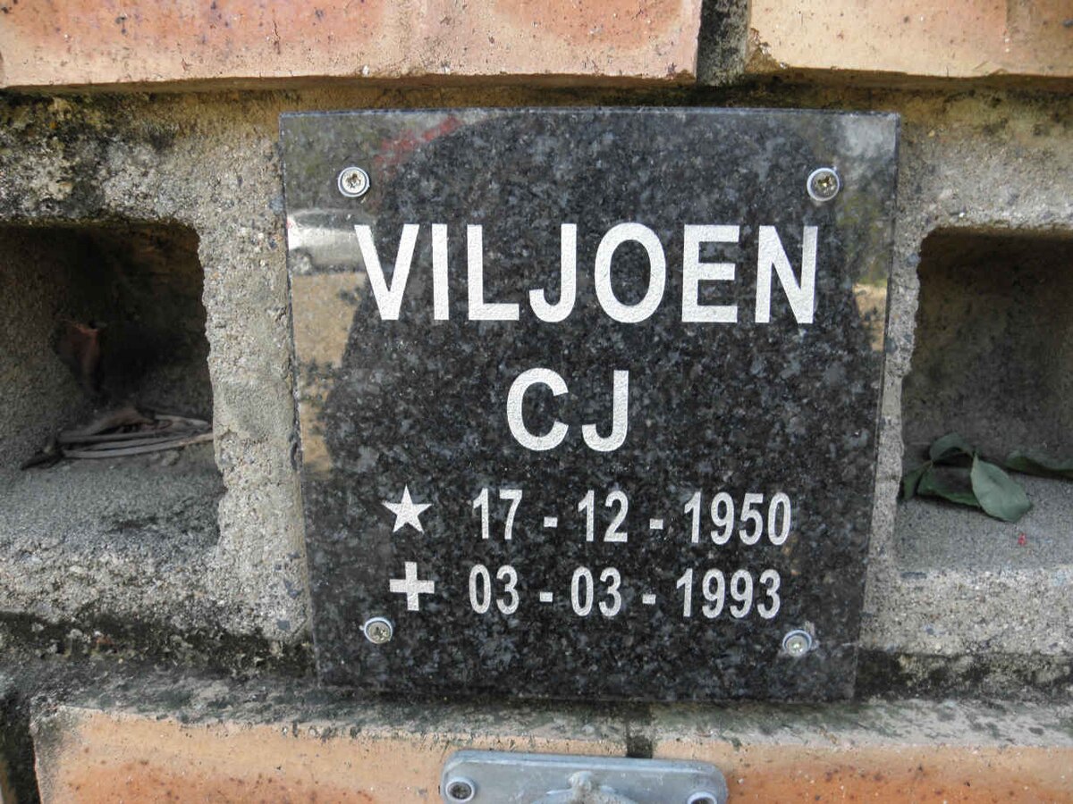 VILJOEN C.J. 1950-1993