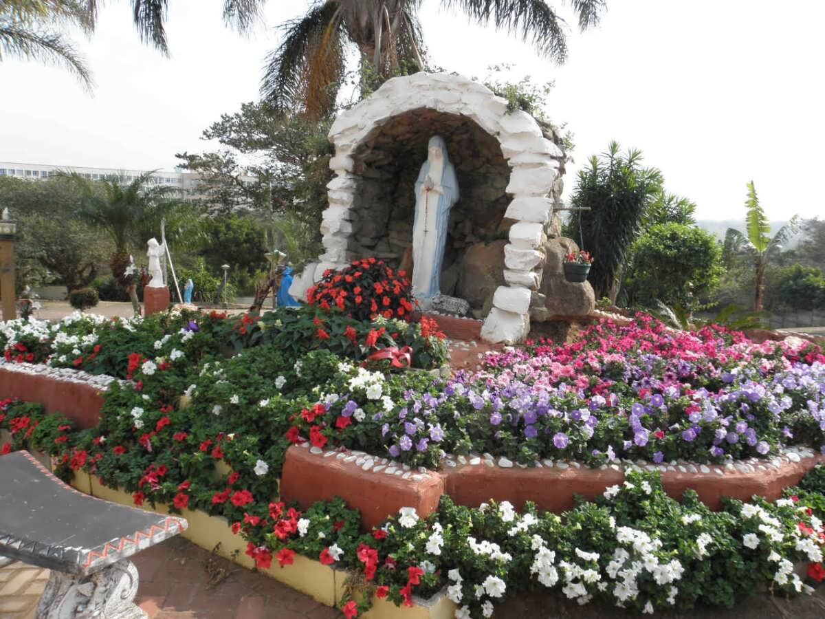 4. Overview / Oorsig