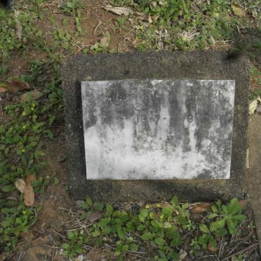 HAMMER Franz Josef 1898-1973