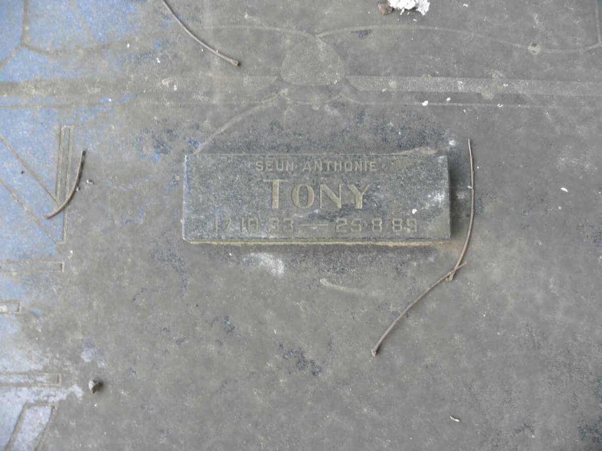 NEVELING Anthonie 1907-1987 &amp; Johanna 1912-1988 :: NEVELING Tony 1933-1989