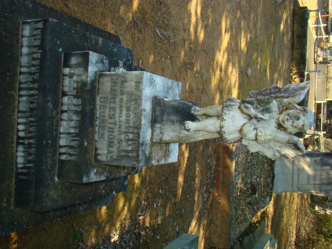 BEUKES Charles Thomas 1933-1934