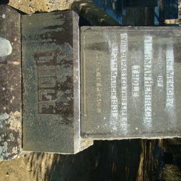 THOLE Herman Henirech -1931