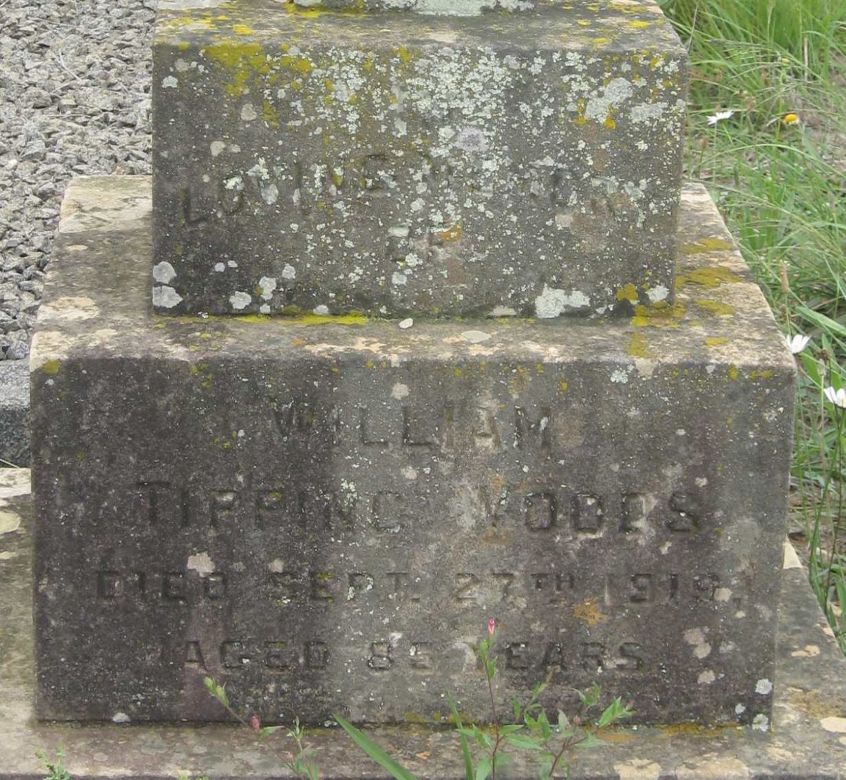 WOODS William Tipping -1919