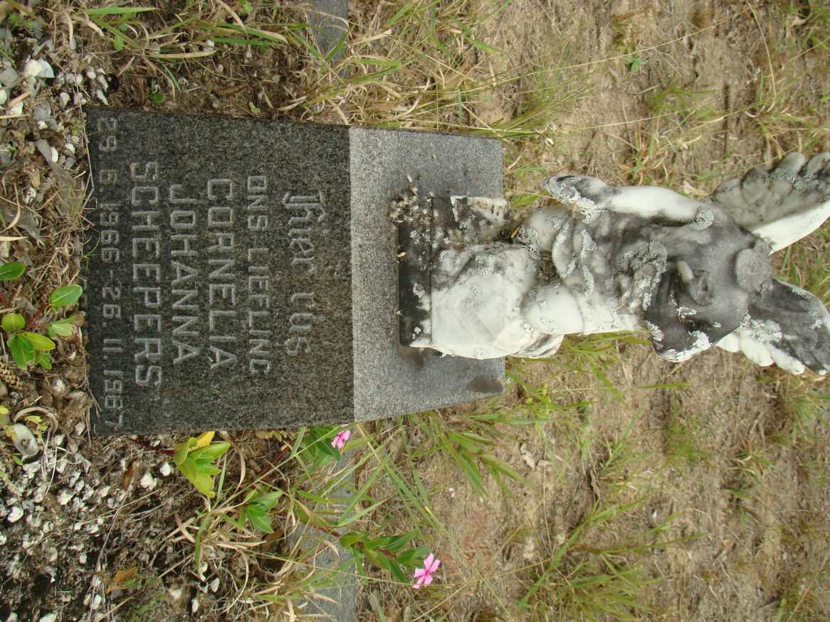 SCHEEPERS Cornelia Johanna 1966-1967