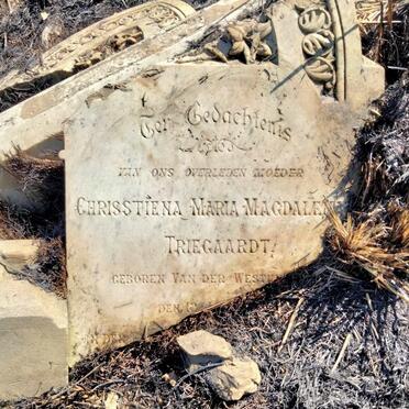 TRIEGAARDT Chrisstiena Maria Magdalena nee VAN DER WESTHUIZEN