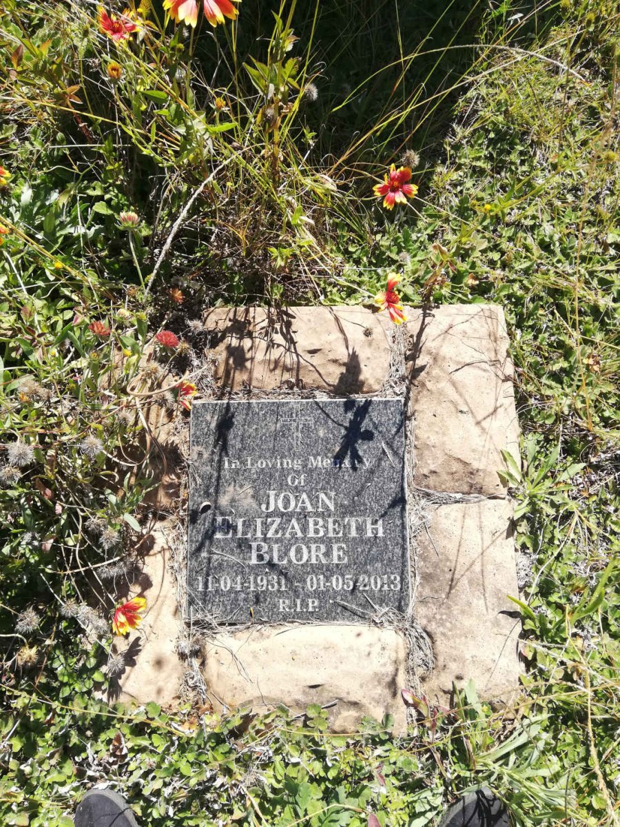 BLORE Joan Elizabeth 1931-2013