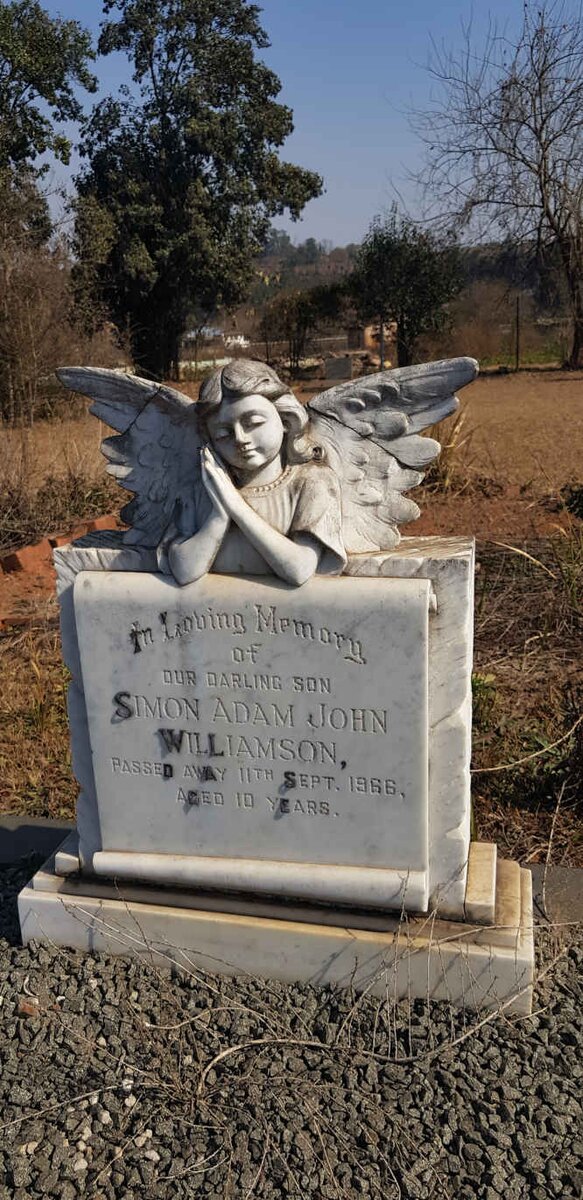 WILLIAMSON Adam Richard D. -1969 &amp; Carolina Jacoba 1927-2016 :: WILLIAMSON Simon Adam John -1966