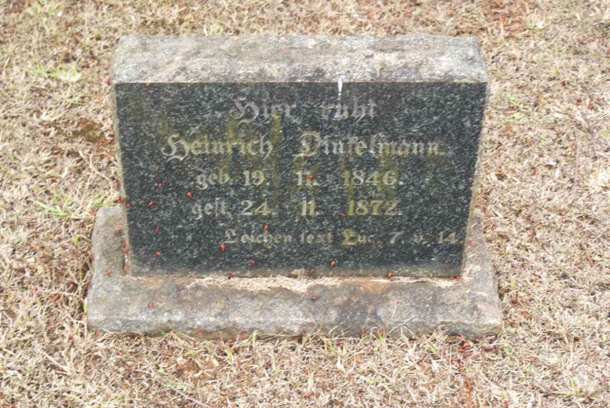 DINKELMANN Heinrich J. 1846-1972