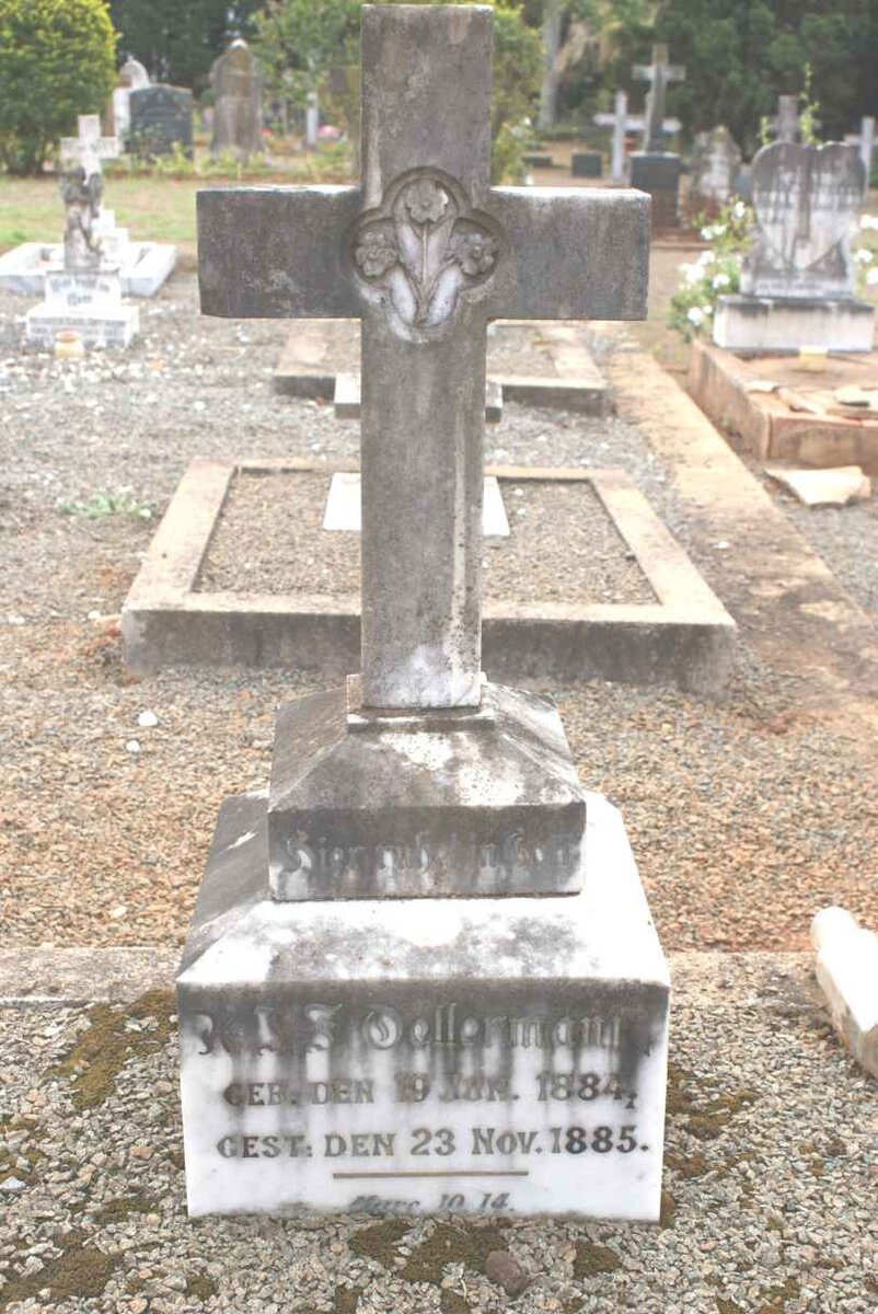 OELLERMANN Rudolf 1884-1885