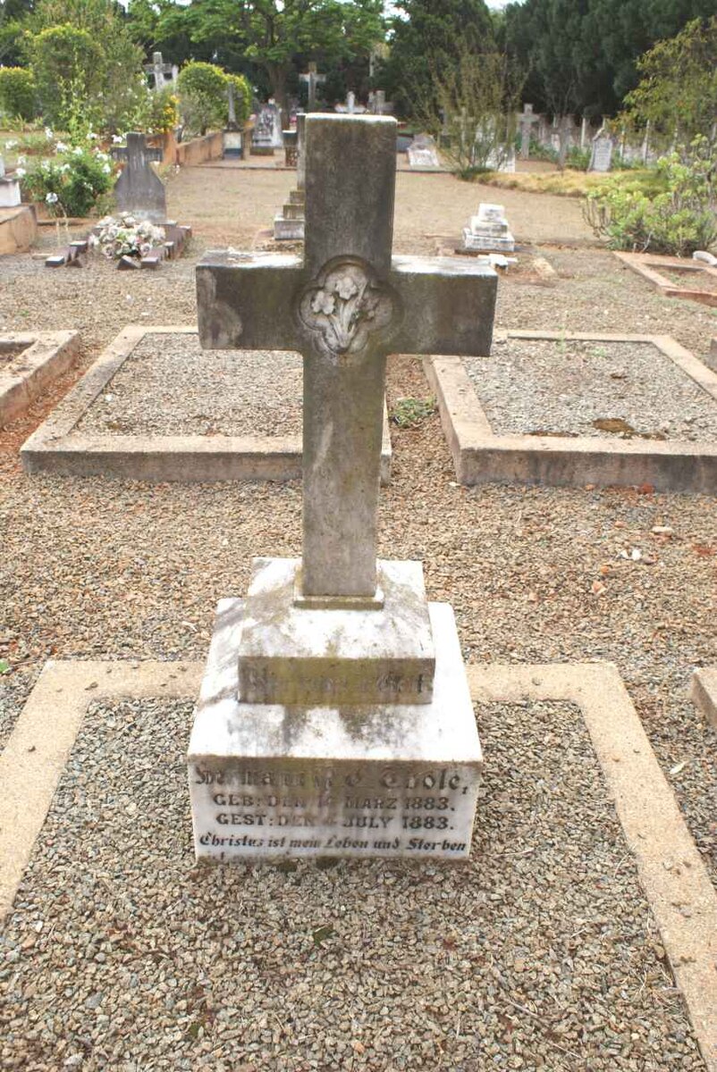 THOLE Herman R.C. 1883-1883