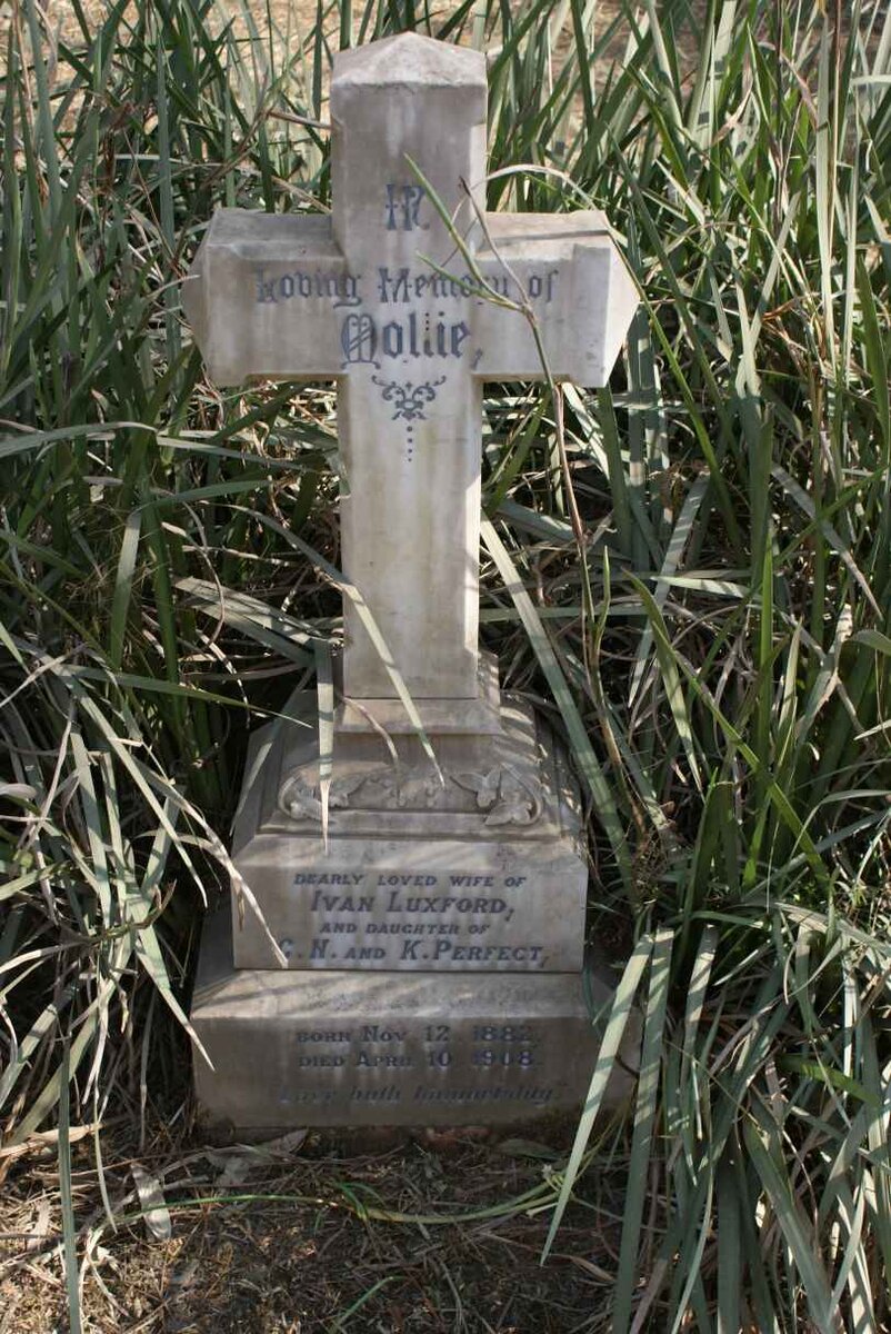 LUXFORD Mollie 1882-1908