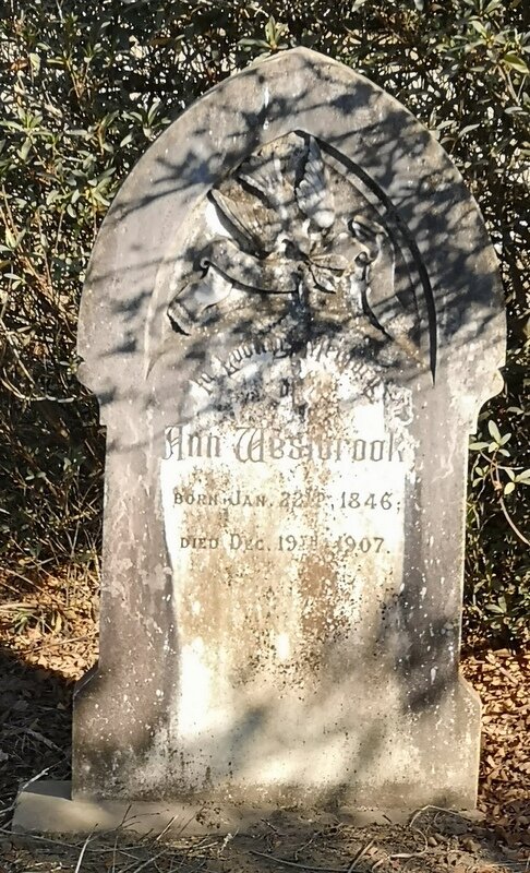 WESTBROOK Ann nee WRAY 1846-1907