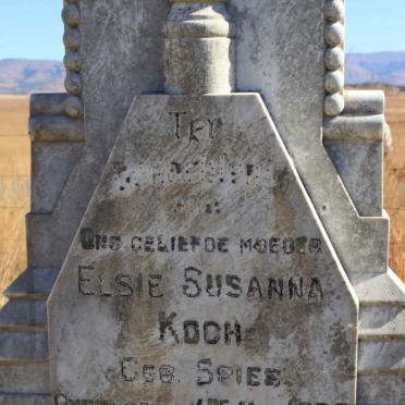 Kwazulu-Natal, NEWCASTLE district, Eckstein 7180, Eksteen farm cemetery