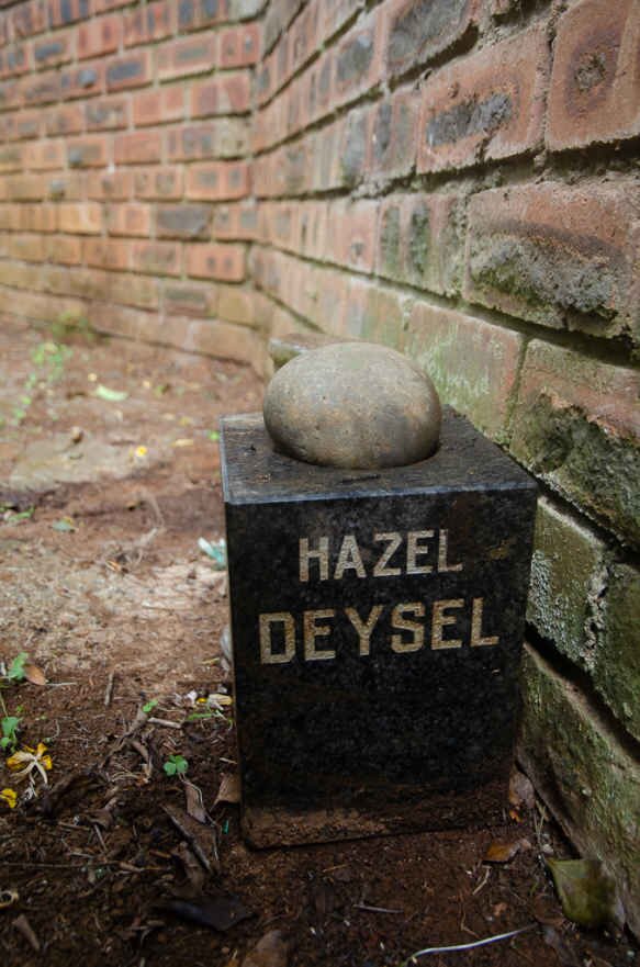 DEYSEL Hazel