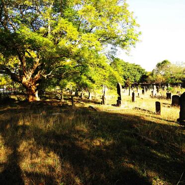 1. Overview photos of the cemetery