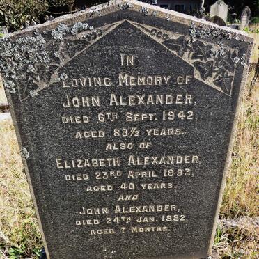 ALEXANDER John -1942 :: ALEXANDER Elizabeth -1893 :: ALEXANDER John -1882