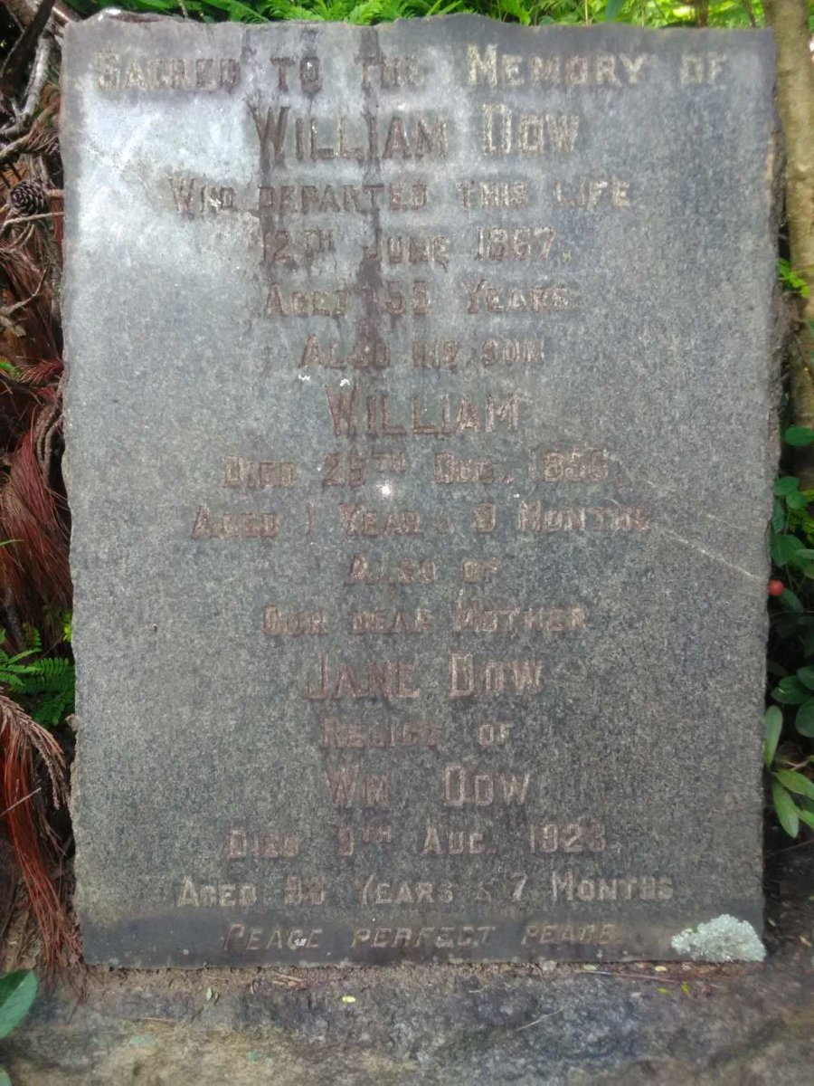 DOW William -1867 &amp; Jane -1923 :: DOW William -1856