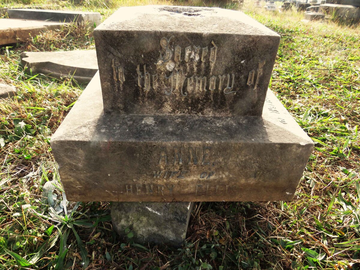 ELLIS Anne 1824-1895_2