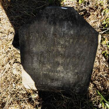 HOLGATE Henry Salisbury -1896