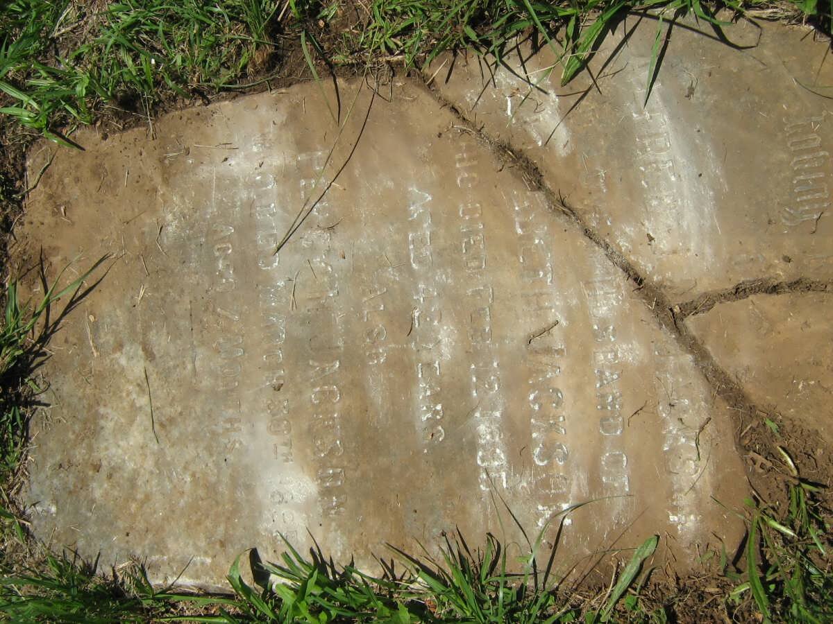 JACKSON Alfred M. -1895 :: JACKSON Percy H. -1895