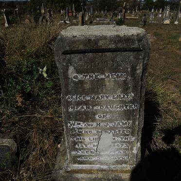 JAMES Alice Mary Lillian -1873