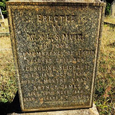 MUIR Caroline Blignaut -1883 :: MUIR Arthur James -1884