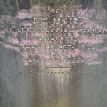 MUIR J.W. -1882 _1