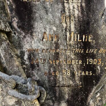 MILNE William -1903 & Ann -1903 _2