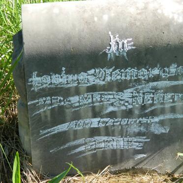 NEDEN S. &amp; ? :: NEDEN Gertie