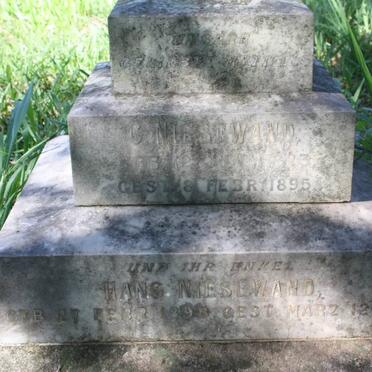 NIESEWAND C. 18?3-1895 :: NIESEWAND Hans 1898-1898