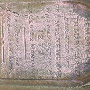 NEWCOMB Edith Mary Carter -1877